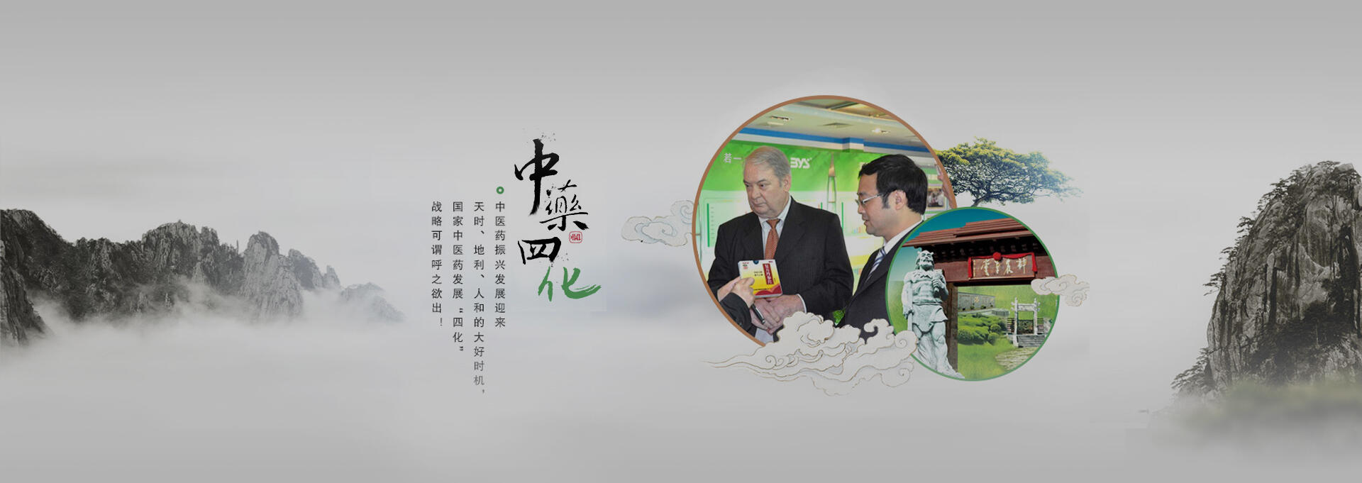 武义建站-若一医药科技