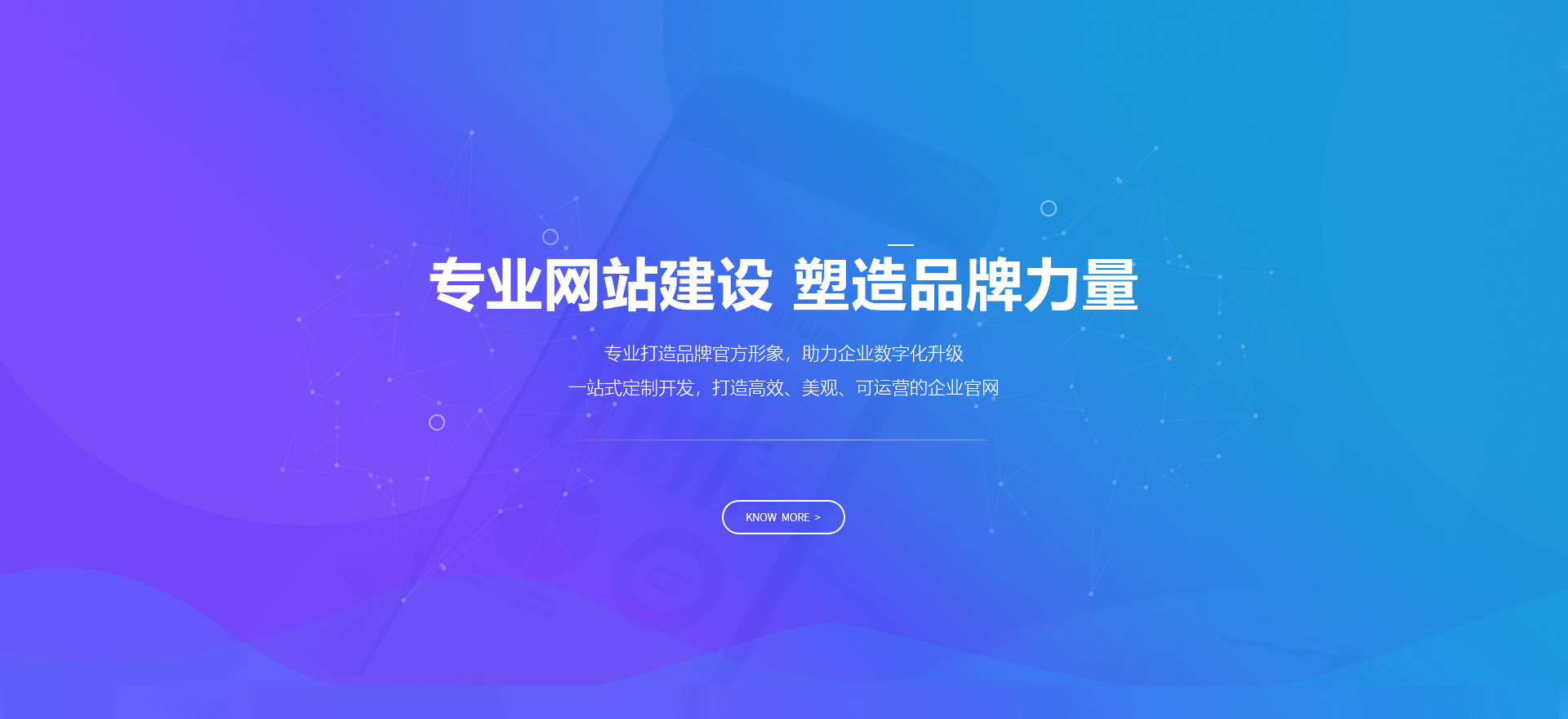 东阳建站-专业网站建设 塑造品牌力量