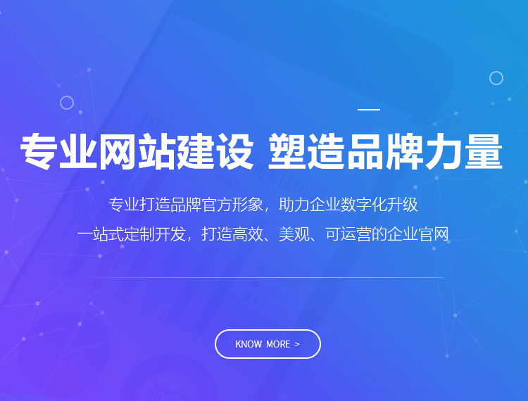 东阳建站-专业网站建设 塑造品牌力量